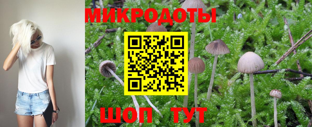 Хасавюрт  Псилоцибиновые грибы GOLDEN TEACHER  цена наркотик  Вход с VPN 